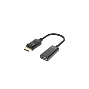 Gizzu 4K DisplayPort to HDMI Adapter Poly